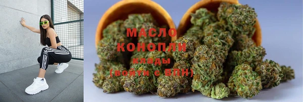 сатива Аркадак