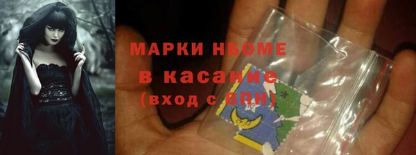 сатива Аркадак
