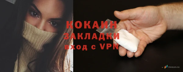 сатива Аркадак