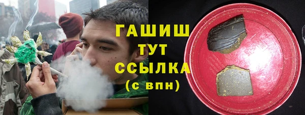 сатива Аркадак