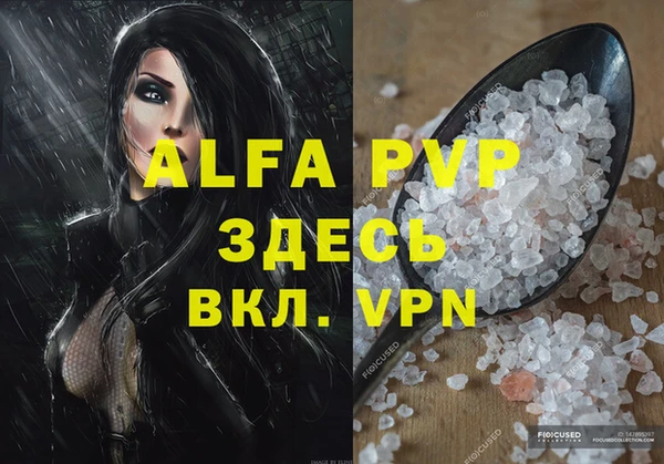сатива Аркадак