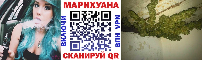 Конопля план  Купить где  Ступино 